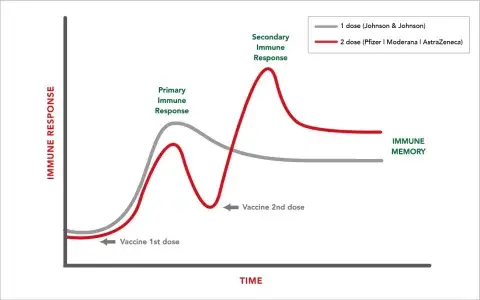 Covid 19 Vaccine Graph