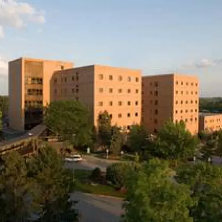 Hospital view 2