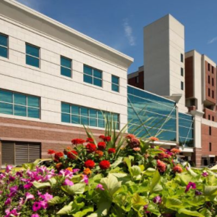 Bristol Hospital